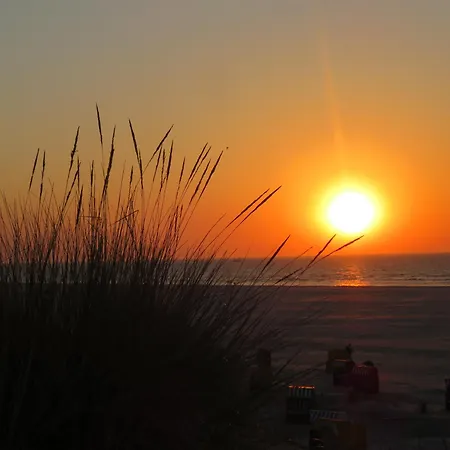 아파트 Haus Billstrasse 231 - 1 *