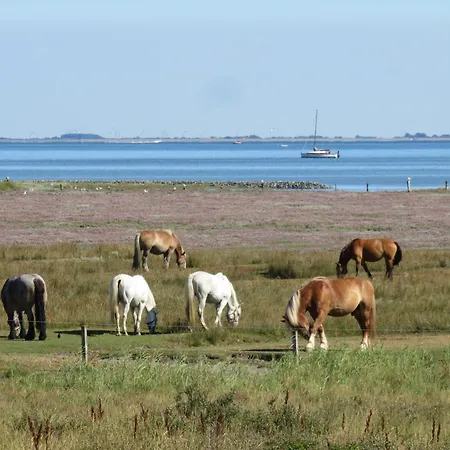 Haus Billstrasse 231 - 1