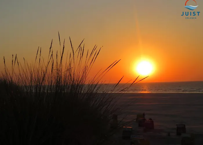 Apartament Haus Billstrasse 231 - 1 *