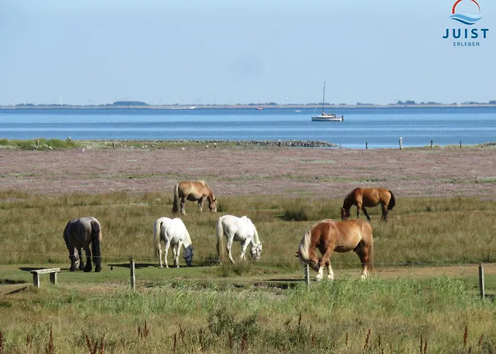 Haus Billstrasse 231 - 1