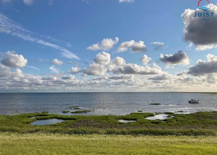 Haus Billstrasse 231 - 1 *